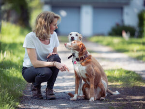 Frau hockt neben zwei Hunden. Sie schauen sich an. Es ist Sommer und warm. Podenco, Mischling